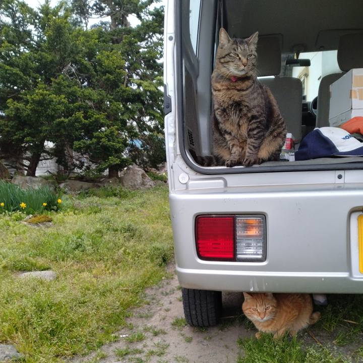 64210a67 ce9f 47fb 8a96 65ea37530607 1682836309378