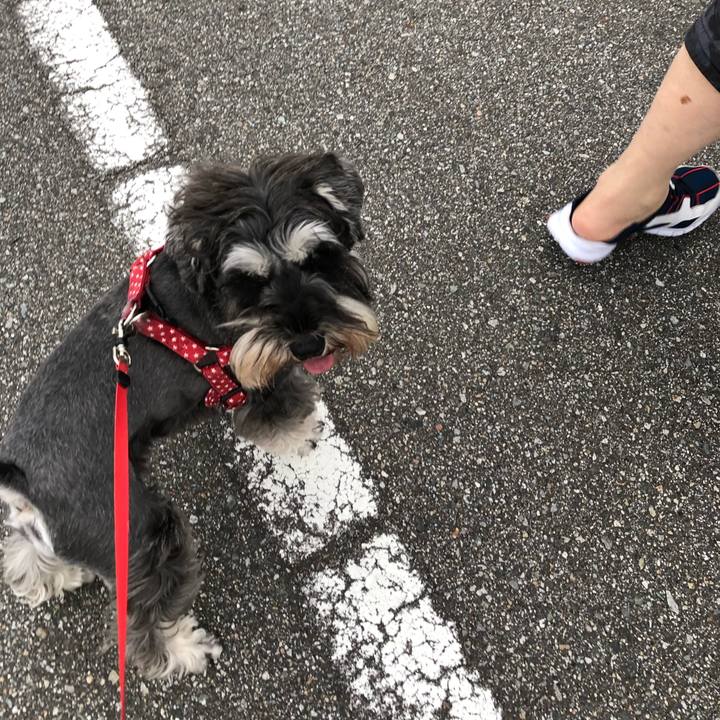 6421241e 33ef 4a79 ad8a 5086a583b71e 1562332957539