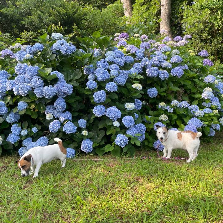 6421397d 230d 495a aeec 0a4d5ef4afab 1751500198483