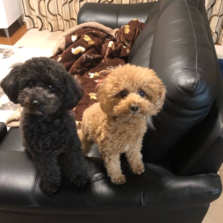 642153f9 2846 47ef 98f0 4acc169d421c 1576153964940