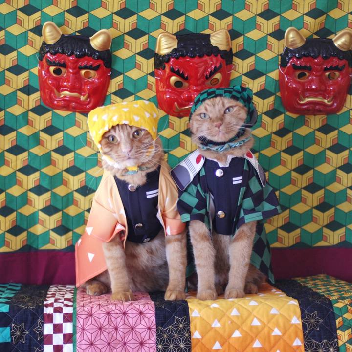 642156d2 4674 4010 8a56 2c59847275eb 1770087193986