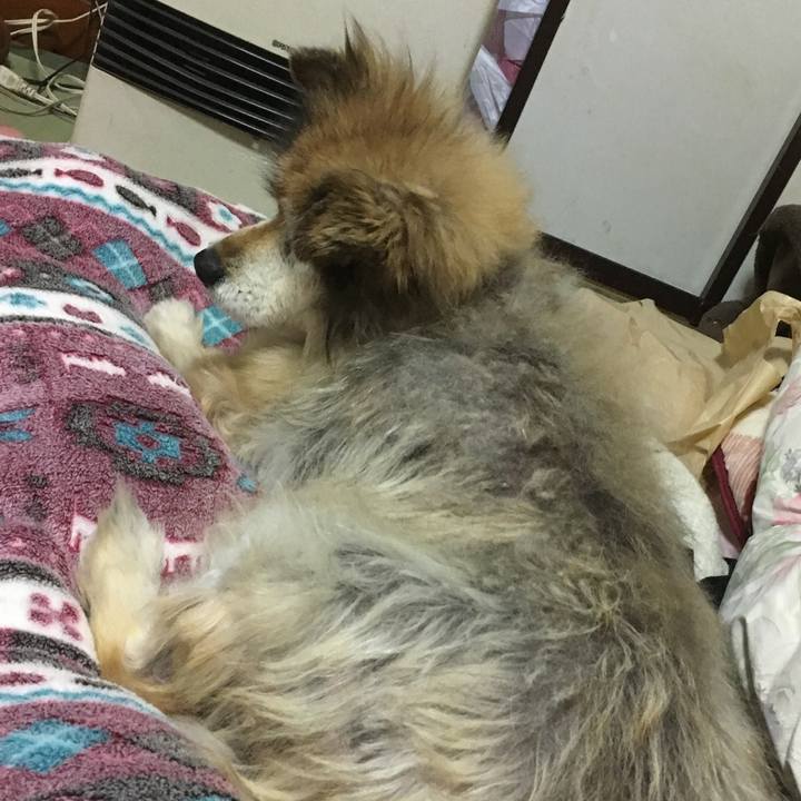 64217277 96ba 464b 8653 2782aa36a204 1594819756745