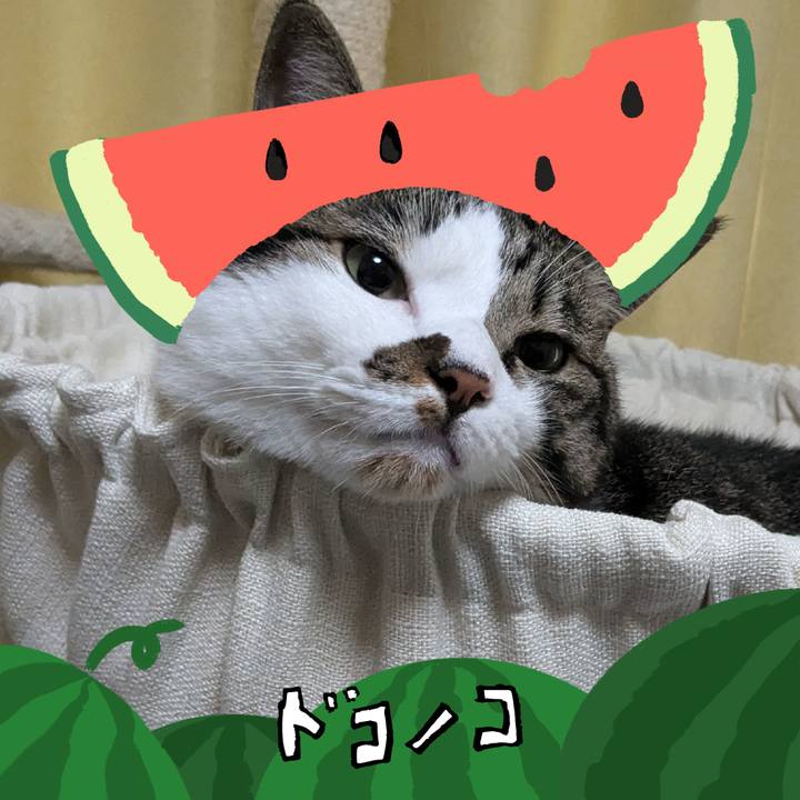 6421dd61 3d44 4a22 a271 3cf69206d333 1720831191271