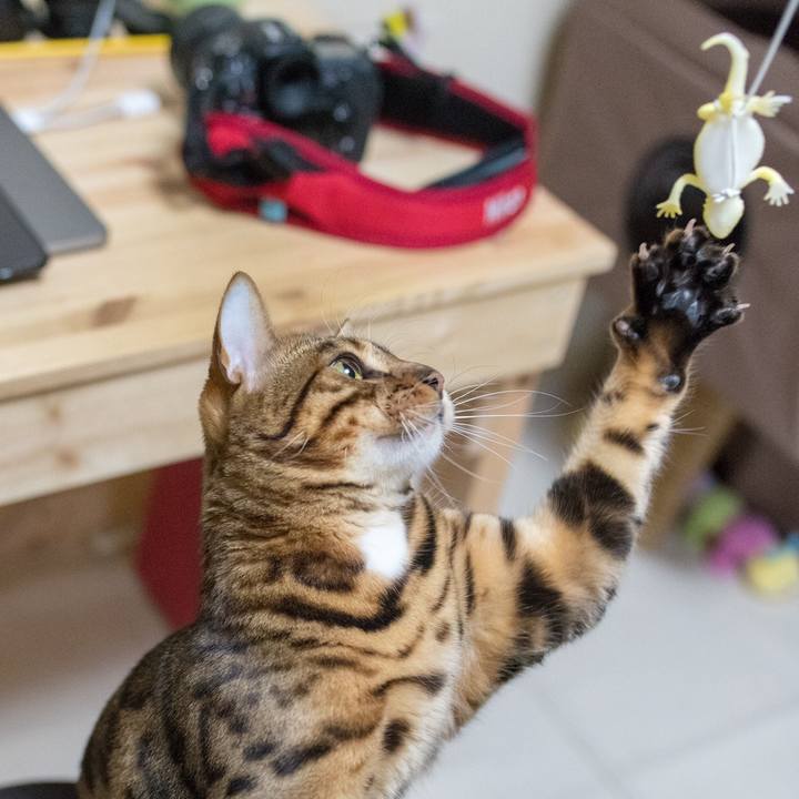 6421e55c d36e 4d9a 955e 8effedbd35cb 1518742113863