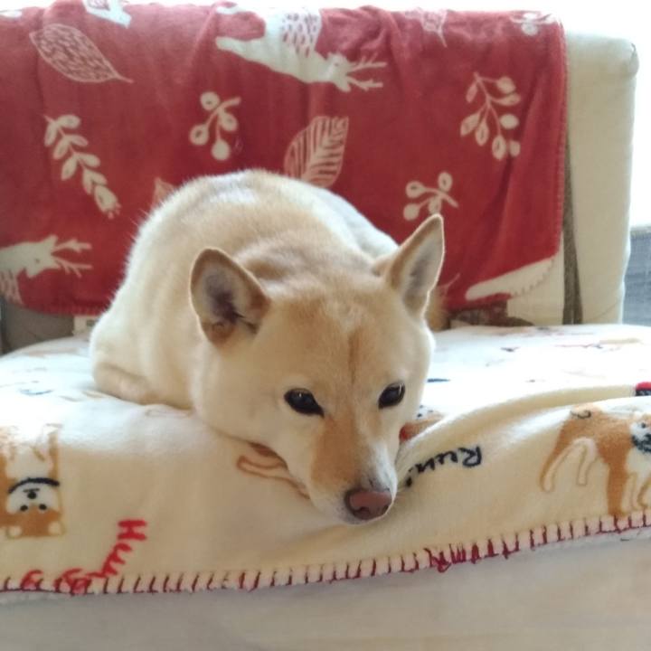 6421f70f 7543 465b 9427 5794fd961442 1612049858639