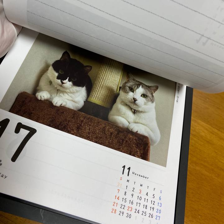 642203d0 5918 4a9d 95c4 c32764d4c2c3 1600248085253