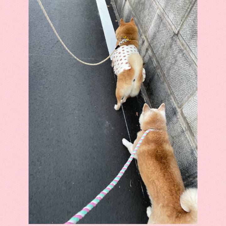 642252d4 5851 4de3 b0fd 273db65afd00 1642558542787