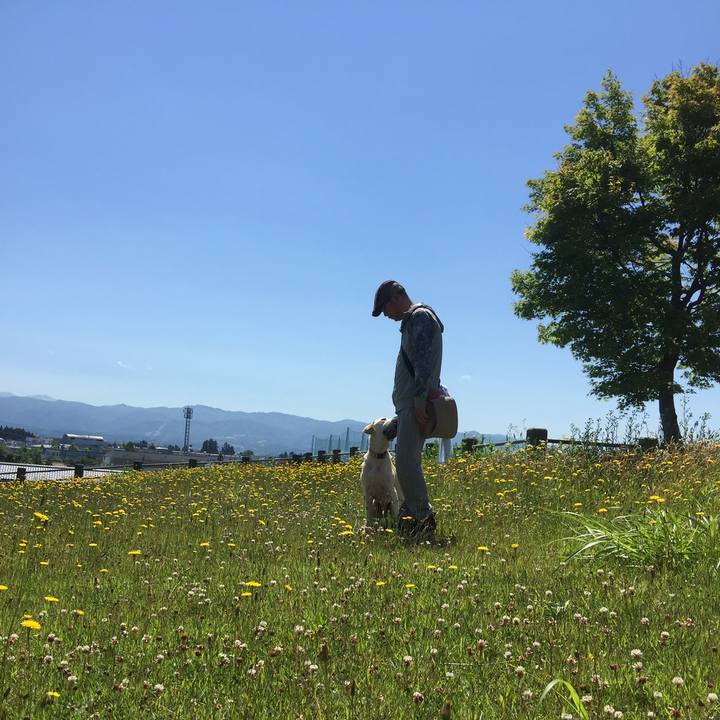 642329b5 b7f3 42bb 8aff 1977d013f179 1558442183037