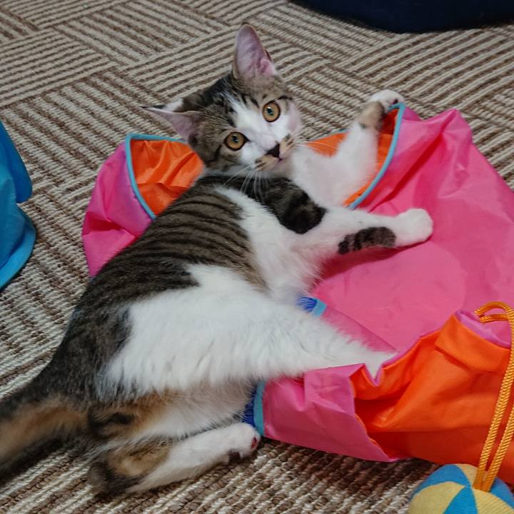 64234523 627a 4413 a2d6 10205a0a692d 1546745047924