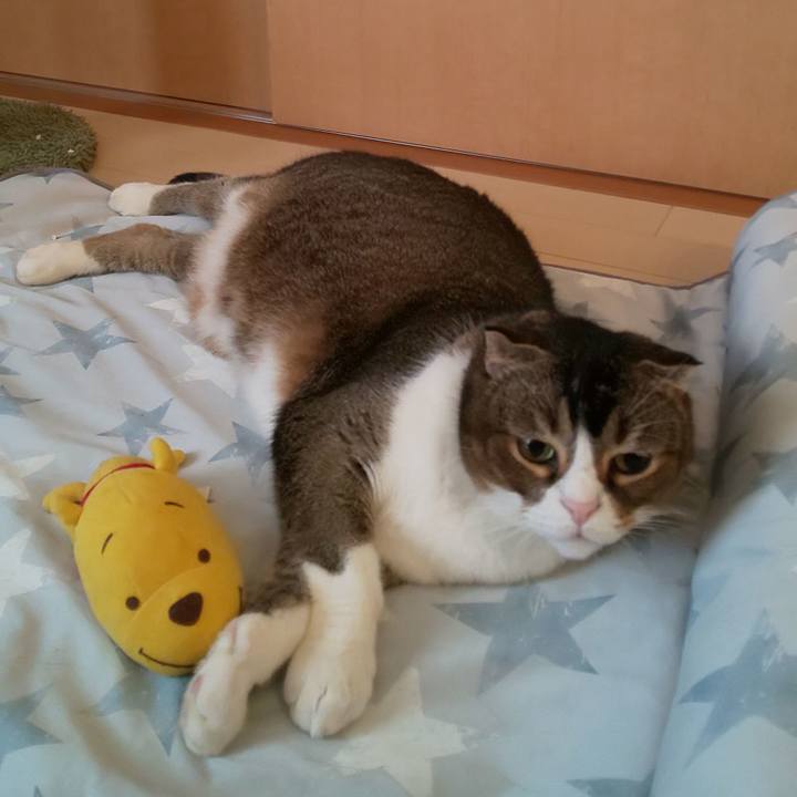 64234932 d7b5 4561 a4e3 1c5386a073b6 1692916374879