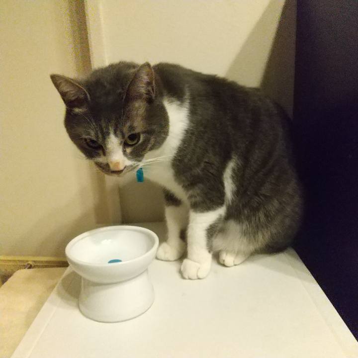 64237375 38f0 4cb0 83e8 dfcd5d16e848 1611092889384