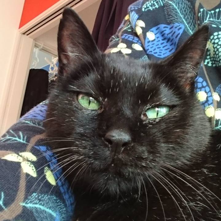 64237bea cbc0 4301 b0da 3ee19e30fb8f 1572156608650