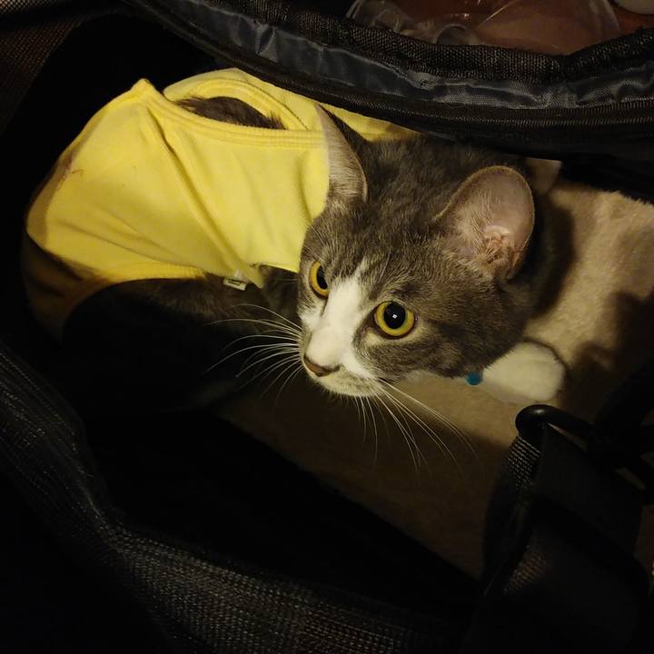 64239144 d848 4648 8aee 379642dde402 1584713020107