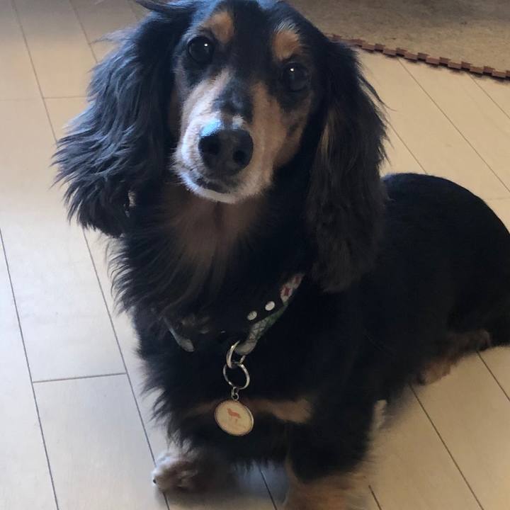 6423dea9 8d8f 4dec ab3a 9d3bd32003b0 1552704926026