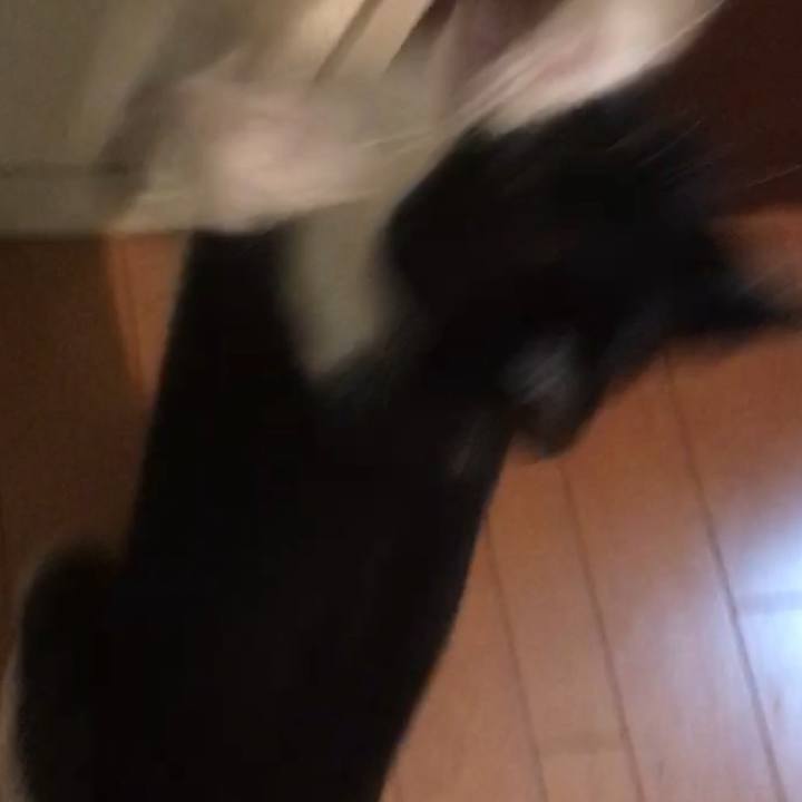 6423debc 4629 4ed5 a096 b188103edacf 1577003361727