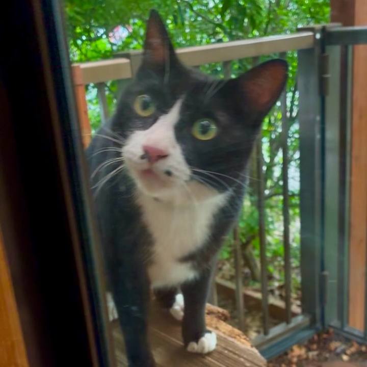 6424007f 4f38 4b18 979f 65a6103b47db 1752918107393