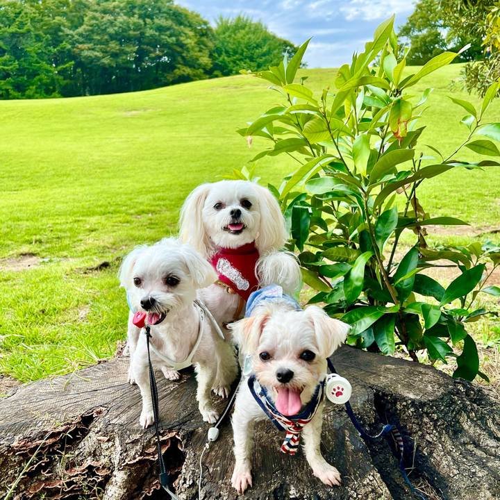 64240532 022d 4bb9 8a04 967bbfb4a72d 1664788373536