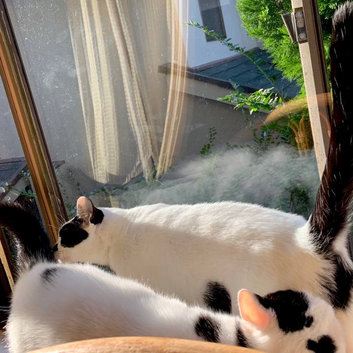 64242cfd 404b 4e15 b5e8 71727aa3f268 1602715456646