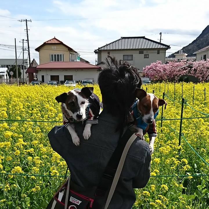 64243001 6582 4f37 95d2 27c6e5554df0 1582084965586