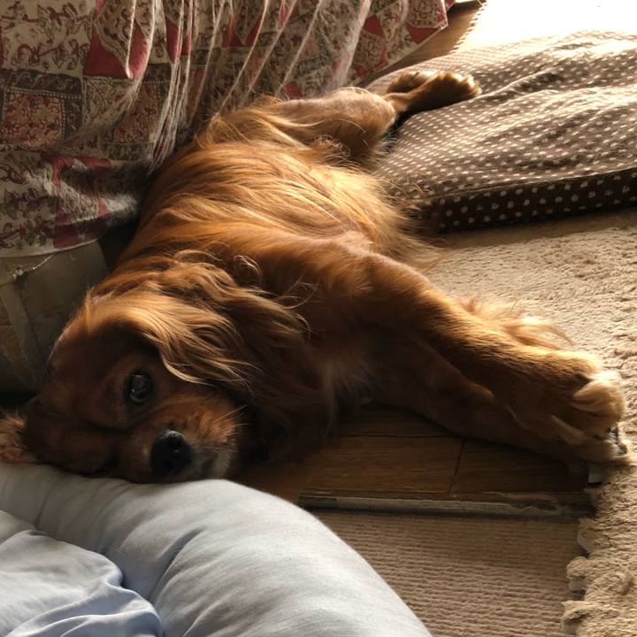 6424309d 47b7 46e3 8c44 652a33ba689e 1593926052874