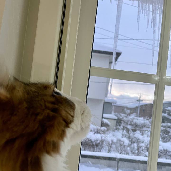 64243157 672b 4503 83db b6c07e1657e7 1671140995992