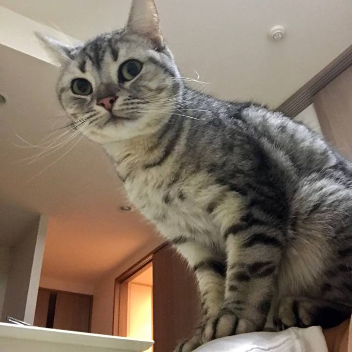 64250fd0 623e 4f20 87b1 9ea66c526f6d 1547037380403