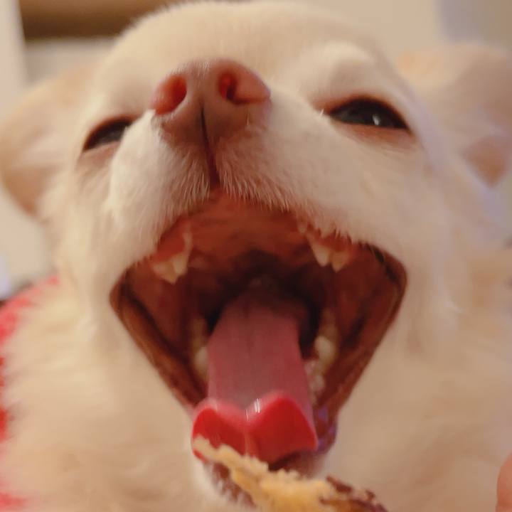 642539a0 12c4 4041 8c11 92a7584c2436 1762091787493