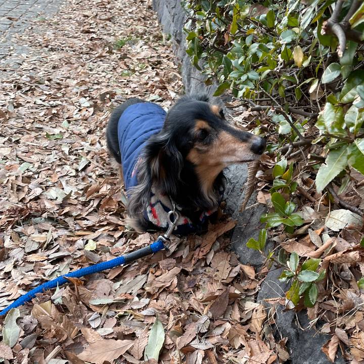 64253c98 8294 4cbe 8b4d aecdadf4c1cc 1641823724020