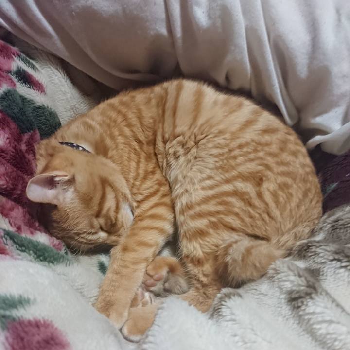 642562cc 4409 415c aea9 d52e0aae31d3 1642252139464