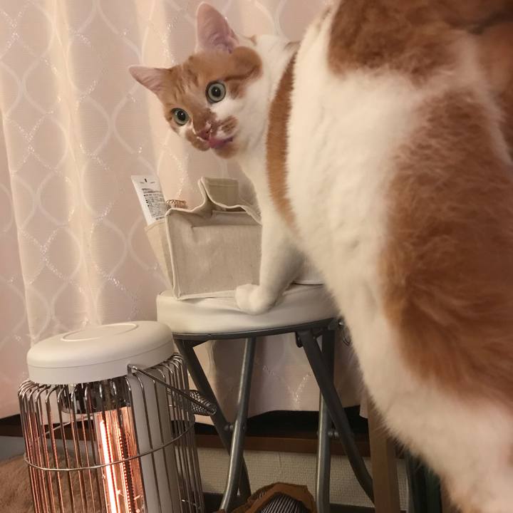 6425bb3d 24a6 433c b92e 6af5c1d74c4a 1577008914669