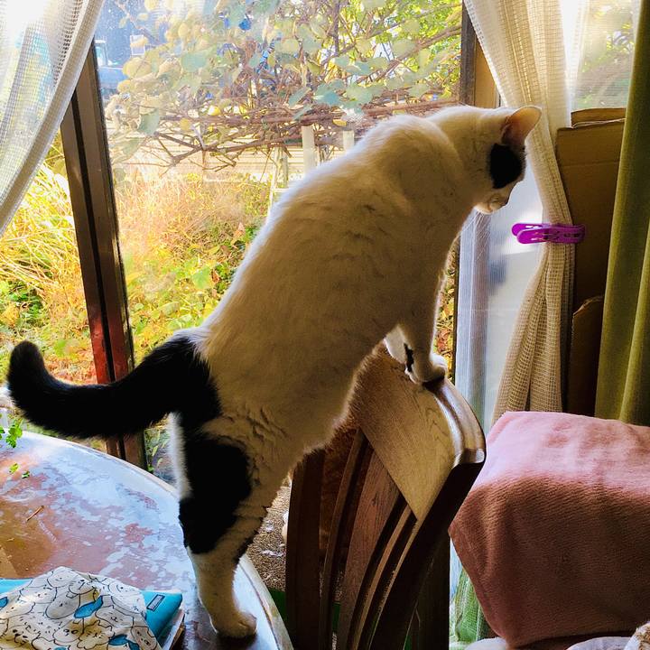 6425cc32 0ed3 414a 9a66 bec2baa42bc0 1604648172197