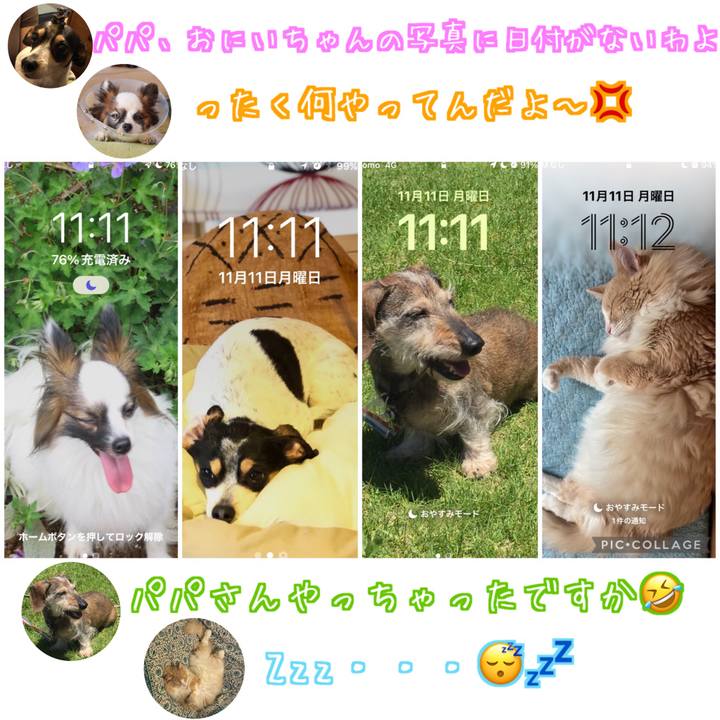 6425e675 b5bd 4d73 a0b5 8ef4528c9973 1731407463690
