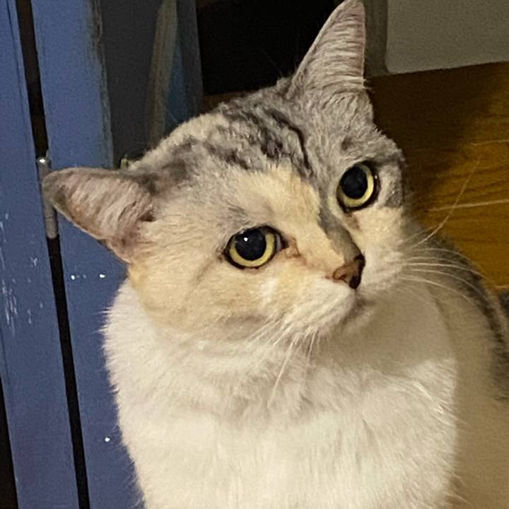 6425f20b d7fd 45d6 bd9d efc4882898a3 1660856930296