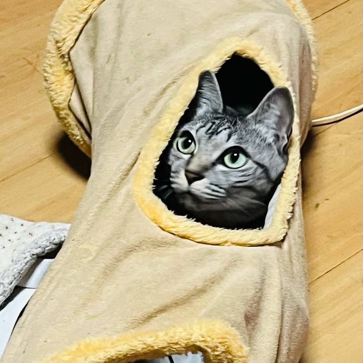 6425f9db 8489 4653 adf4 1565ee741591 1765779085827