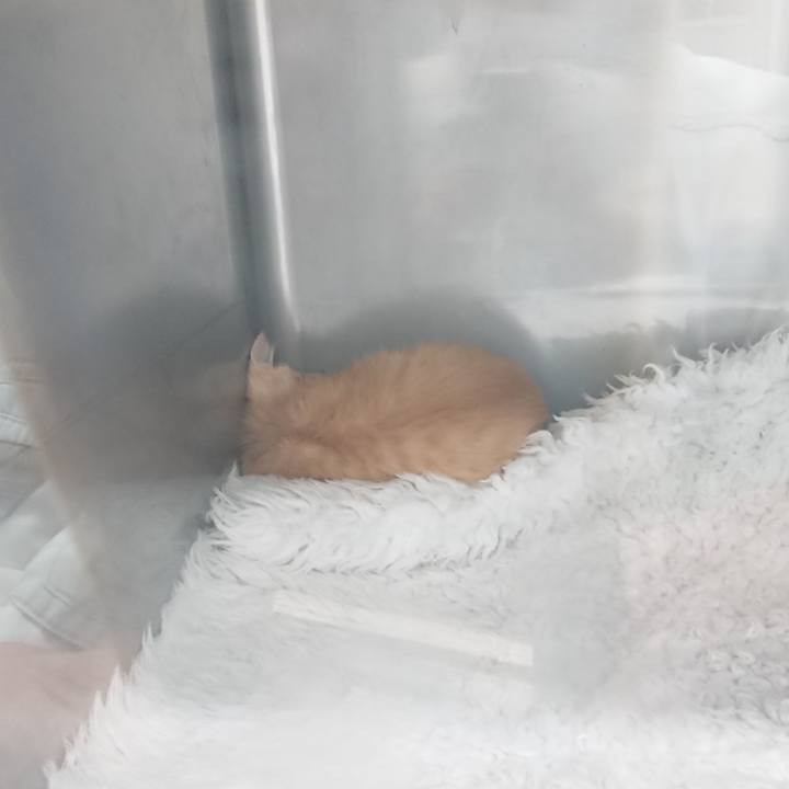 64261511 7a19 4f5f 8d5f 52c2f4297805 1627638355172