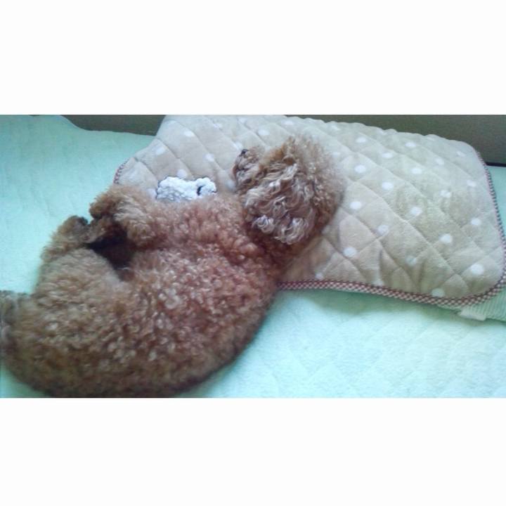 642649a6 9db8 4b43 9588 1af0fa392494 1550676739823