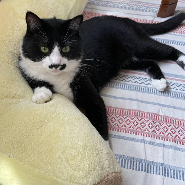 64265485 f40b 418a 962c 39c6cb700db4 1656375496349