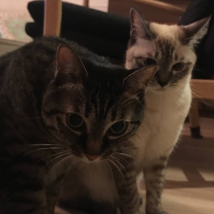 642659a4 7604 40b0 b07e e11f6826772c 1566043553449