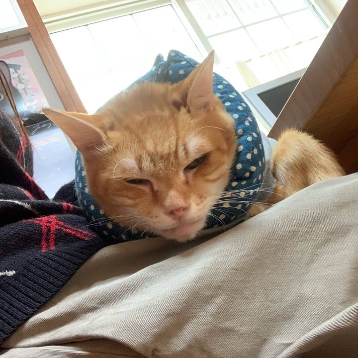 64267eaa 6b4a 45c5 9035 c9fa4b849b5a 1637638233930