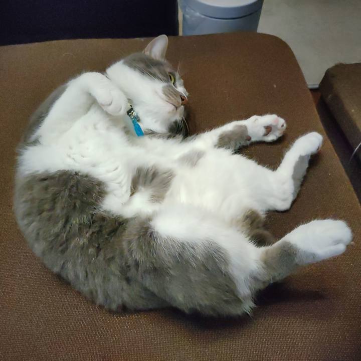 64269a74 5a4a 4de4 8a87 b15e7976137b 1686398519114