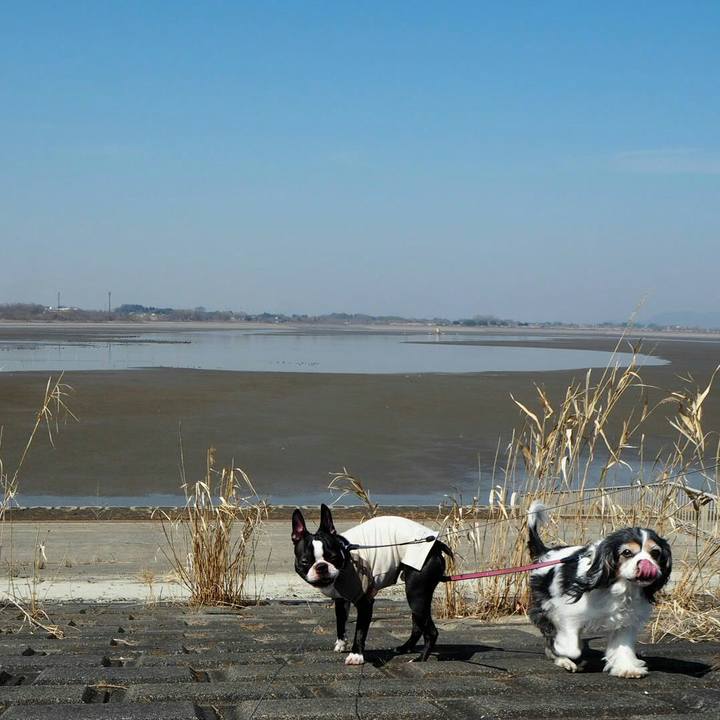 6426e698 438c 425f aaab 7dba238a1117 1520148845998