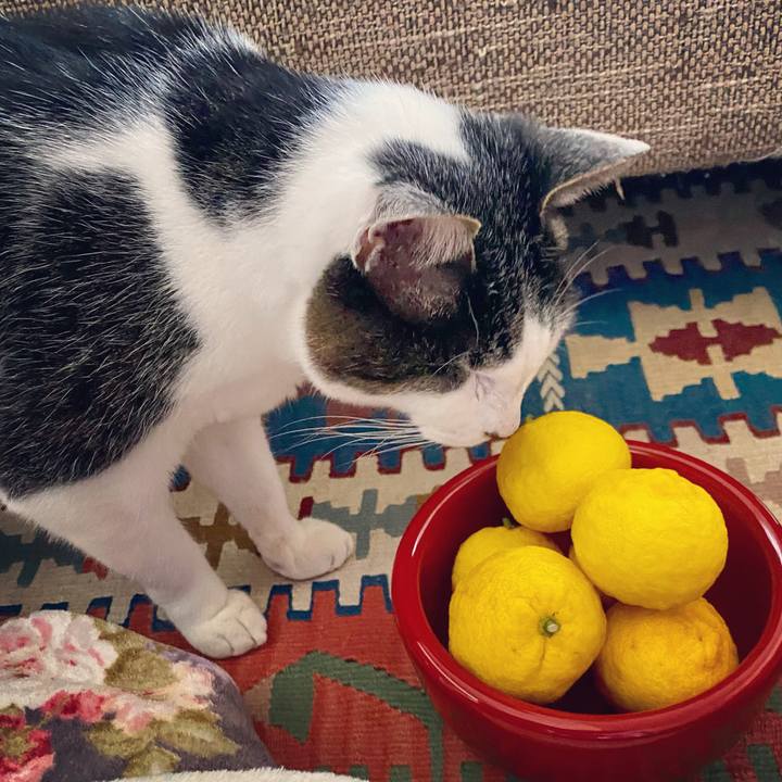 6426eb0f 7aad 40bd 86a6 79fe1891824d 1608449563138