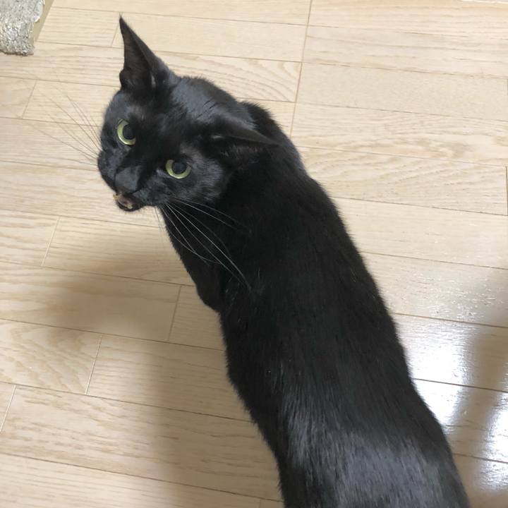 6426f996 eb21 4403 b95c eb54ab2e9e4a 1620911205757