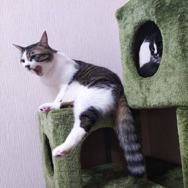 6426fc3d ef29 416e 87f2 433fb1e79f09 1643291501767