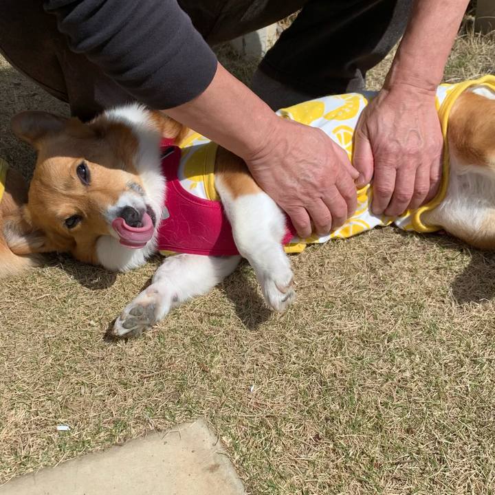 64272740 a631 4cf1 9664 5d1c0a9d8f9f 1615863006123