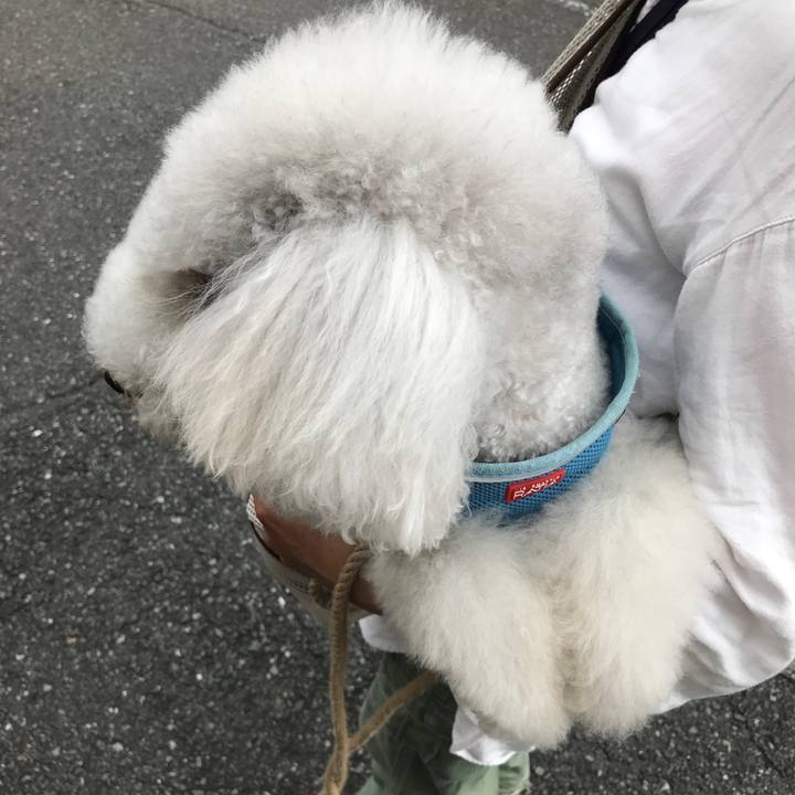 6427275a f442 443c 9104 7a28cf417c22 1688906929242