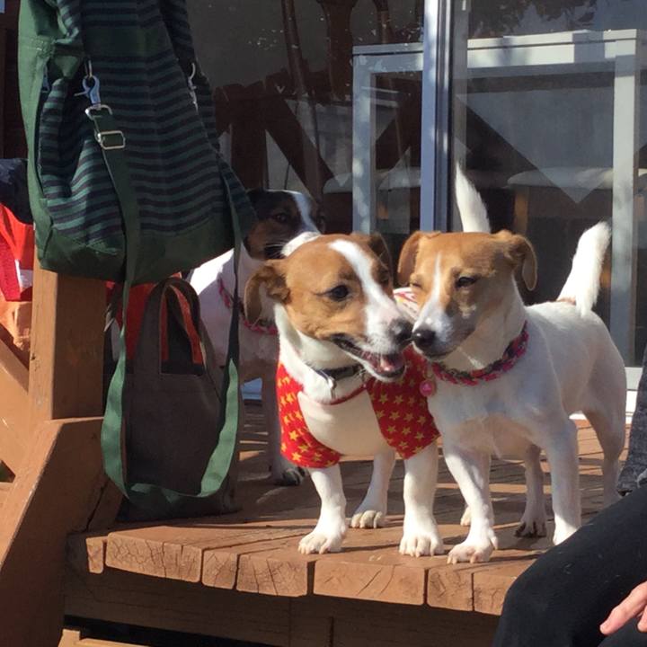 642738f4 2351 49af bdb7 648b57ebb9a0 1511775601314