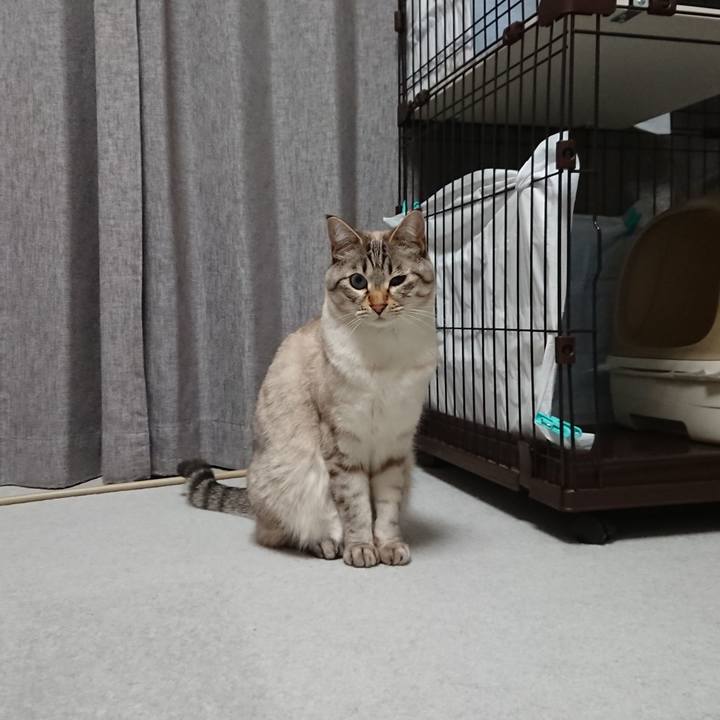 64274a3d 87ed 4882 9dbb ba83ac5a9cf0 1555065266529