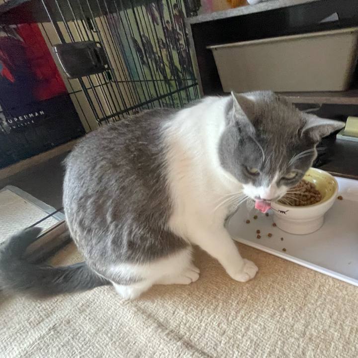 64274d56 a1dd 436b afb7 5689ee764eee 1649466713337