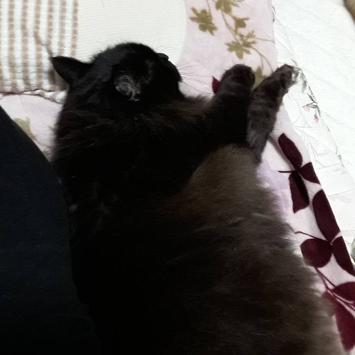 642765e0 8172 4b13 87b7 41bb91cb08d9 1524486880725